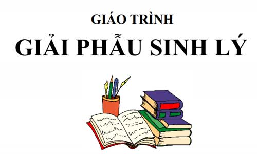 Bài giảng giải phẫu sinh lý