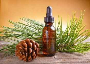 Tinh dầu thông đỏ có tác dụng gì?