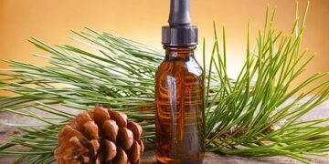 Tinh dầu thông đỏ có tác dụng gì?