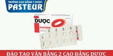 Văn bằng 2 Cao đẳng Dược TPHCM học 20 tháng