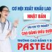 Theo học ngành Điều dưỡng cơ hội làm việc tại môi trường quốc tế