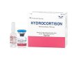 Thuốc kháng viêm Hydrocortisone: công dụng, cách dùng và lưu ý khi sử dụng