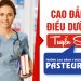 Học Cao đẳng Điều dưỡng ở đâu tốt năm 2019