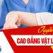 Có bằng Y sĩ Y học cổ truyền được học lên Cao đẳng Vật lý trị liệu hay không?