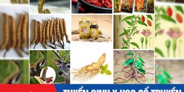 Tuyển sinh Văn bằng 2 Trung cấp Y học cổ truyền học thứ 7 & chủ nhật