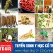 Tuyển sinh Văn bằng 2 Trung cấp Y học cổ truyền học thứ 7 & chủ nhật