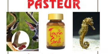 Địa chỉ học Trung cấp Y học cổ truyền năm 2021 tại TPHCM