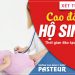 Điều kiện tuyển sinh Cao đẳng Hộ sinh TPHCM là gì?