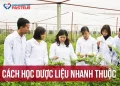 Bật mí cách học dược liệu nhanh thuộc và nhớ lâu