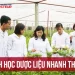 Bật mí cách học dược liệu nhanh thuộc và nhớ lâu