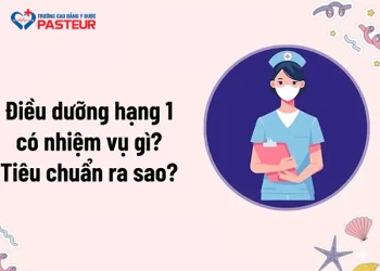 Điều dưỡng hạng 1 có nhiệm vụ gì? Tiêu chuẩn ra sao?