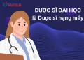 Dược sĩ Đại học là Dược sĩ hạng mấy? Những điều cần biết về phân hạng Dược sĩ