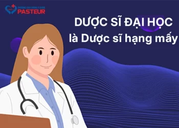 Dược sĩ Đại học là Dược sĩ hạng mấy? Những điều cần biết về phân hạng Dược sĩ