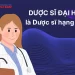 Dược sĩ Đại học là Dược sĩ hạng mấy? Những điều cần biết về phân hạng Dược sĩ