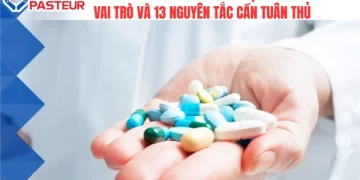 GCP trong ngành Dược: Vai trò và 13 nguyên tắc cần tuân thủ