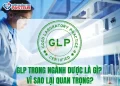 GLP trong ngành Dược là gì? Vì sao lại quan trọng?