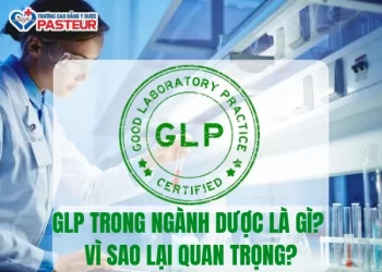 GLP trong ngành Dược là gì? Vì sao lại quan trọng?