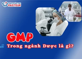Hiểu đúng về GMP trong ngành Dược: Vai trò và quy trình áp dụng