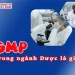 Hiểu đúng về GMP trong ngành Dược: Vai trò và quy trình áp dụng