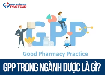 GPP trong ngành Dược là gì? Các tiêu chuẩn và quy trình cấp GPP