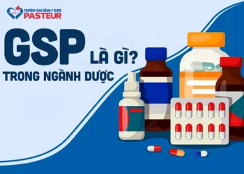 GSP trong ngành Dược là gì? Điều kiện và nguyên tắc cần biết