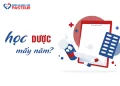 Học Dược mấy năm? Ra trường làm những công việc gì?