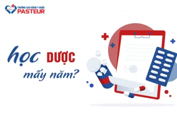 Học Dược mấy năm? Ra trường làm những công việc gì?