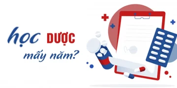 Học Dược mấy năm? Ra trường làm những công việc gì?