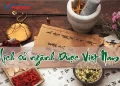 Lịch sử ngành Dược Việt Nam trải qua những giai đoạn nào?