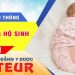 Địa chỉ Liên thông Cao đẳng Hộ sinh tại TPHCM năm 2021