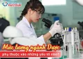 Mức lương ngành Dược phụ thuộc vào những yếu tố nào?