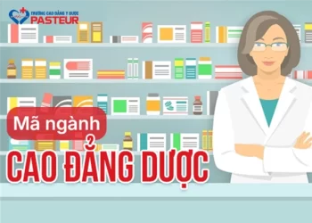 Thông tin mã ngành Cao đẳng Dược năm 2026 nhanh và chính xác
