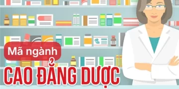 Thông tin mã ngành Cao đẳng Dược năm 2026 nhanh và chính xác