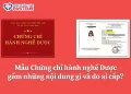 Mẫu Chứng chỉ hành nghề Dược​ gồm những nội dung gì và do ai cấp?