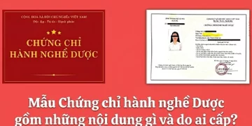 Mẫu Chứng chỉ hành nghề Dược​ gồm những nội dung gì và do ai cấp?