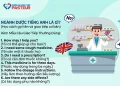 Ngành Dược tiếng Anh là gì kèm mẫu câu thường dùng trong giao tiếp