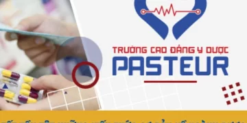 Tất tần tật những kiến thức cơ bản về ngành Dược
