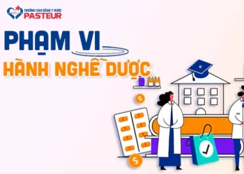 Tìm hiểu phạm vi hành nghề Dược theo quy định hiện hành