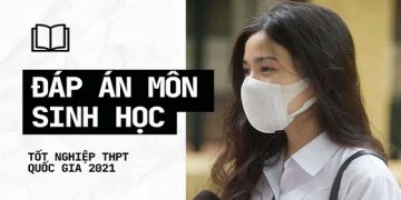 Đáp án đề thi môn Sinh học Kỳ thi tốt nghiệp THPT 2021 đầy đủ 24 mã đề