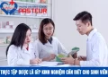 Thực tập Dược là gì? Kinh nghiệm cần biết cho sinh viên